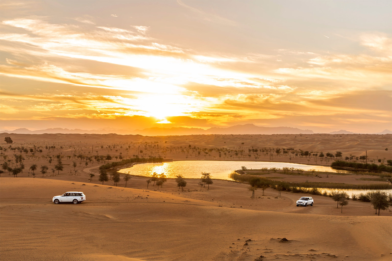 2021迪拜沙漠保护区-旅游攻略-门票-地址-问答-游记点评，迪拜旅游旅游景点推荐-去哪儿攻略