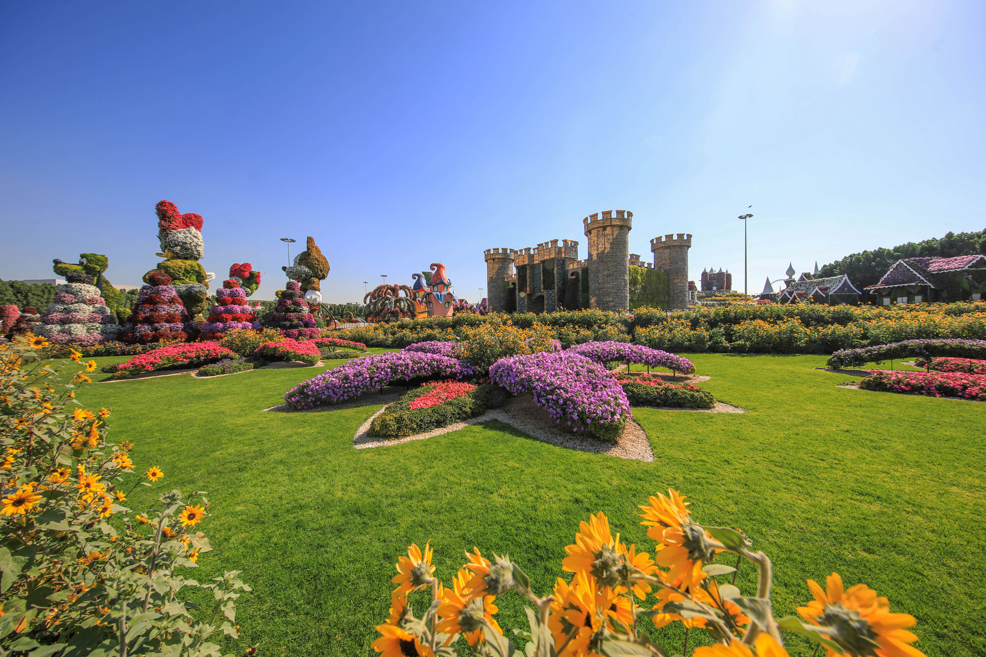 Dubai Miracle Garden in Dubai