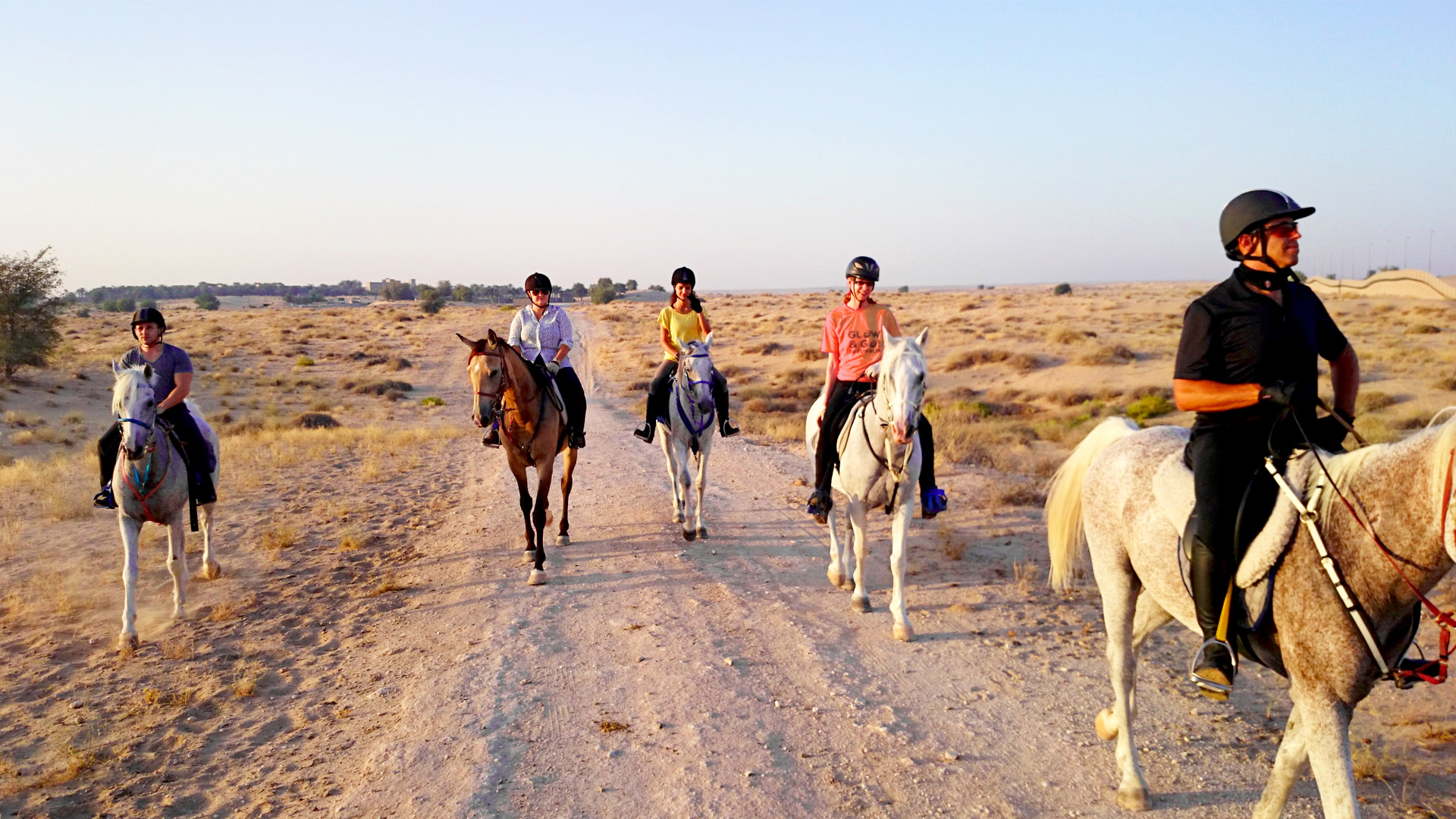Al Jiyad Stables Dubai