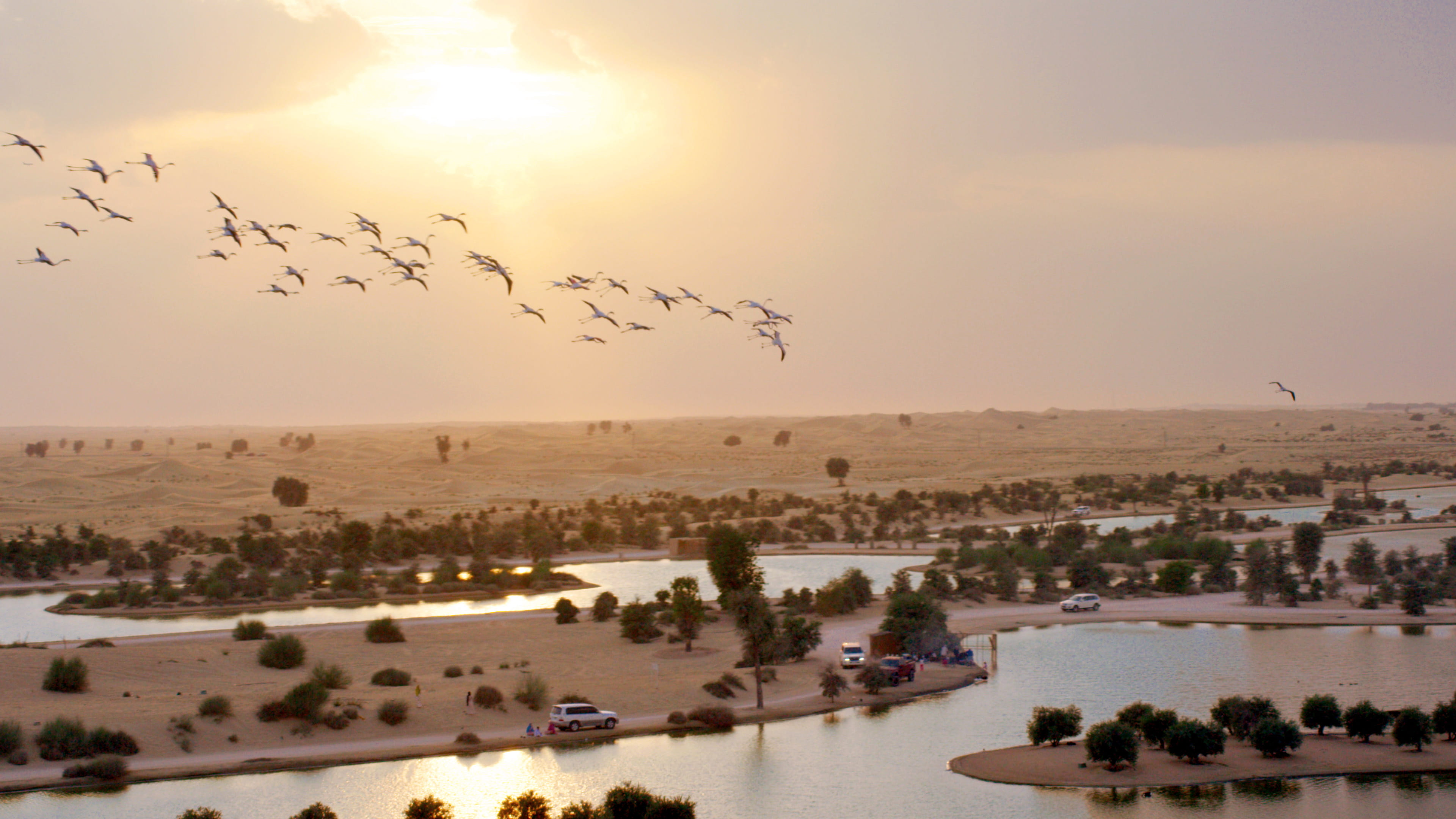Al Qudra Lakes Dubai