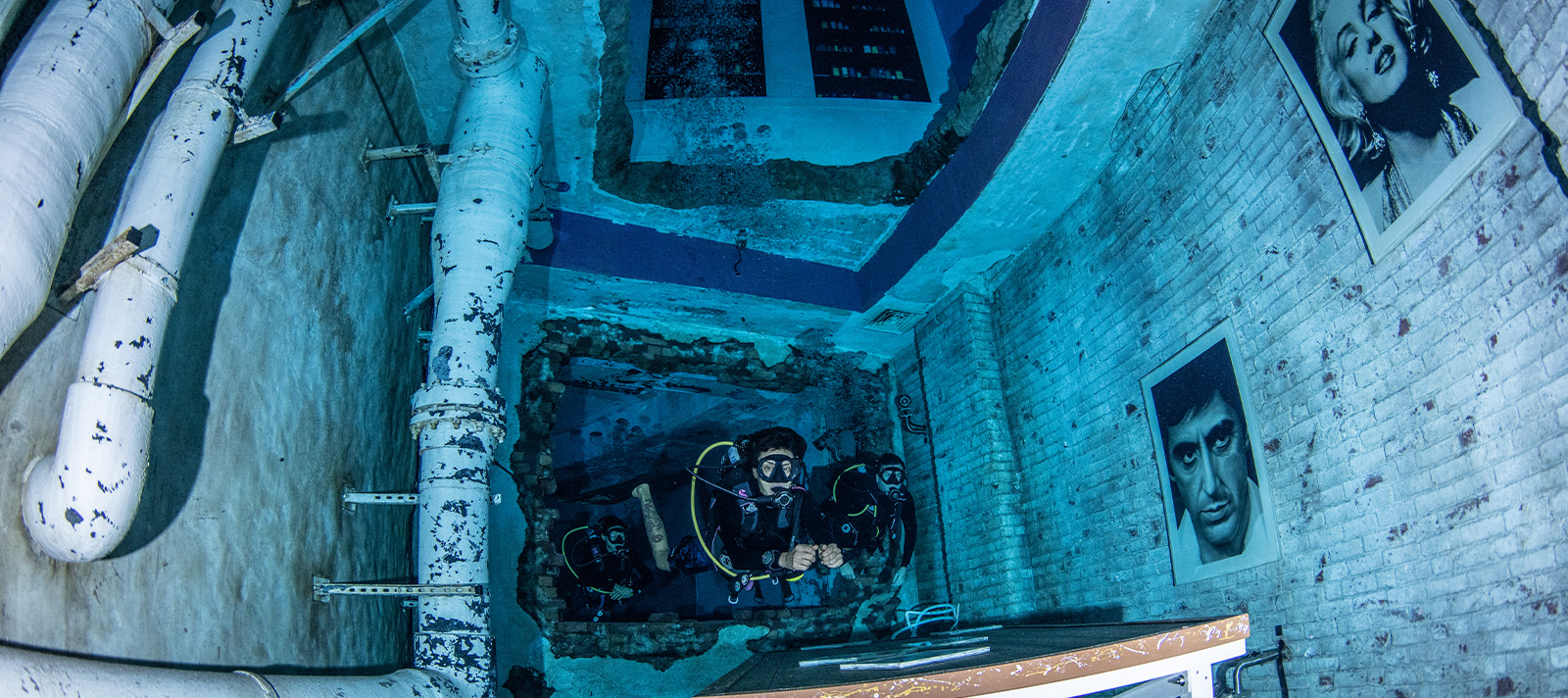 Explore Deep Dive Dubai's underwater habitats