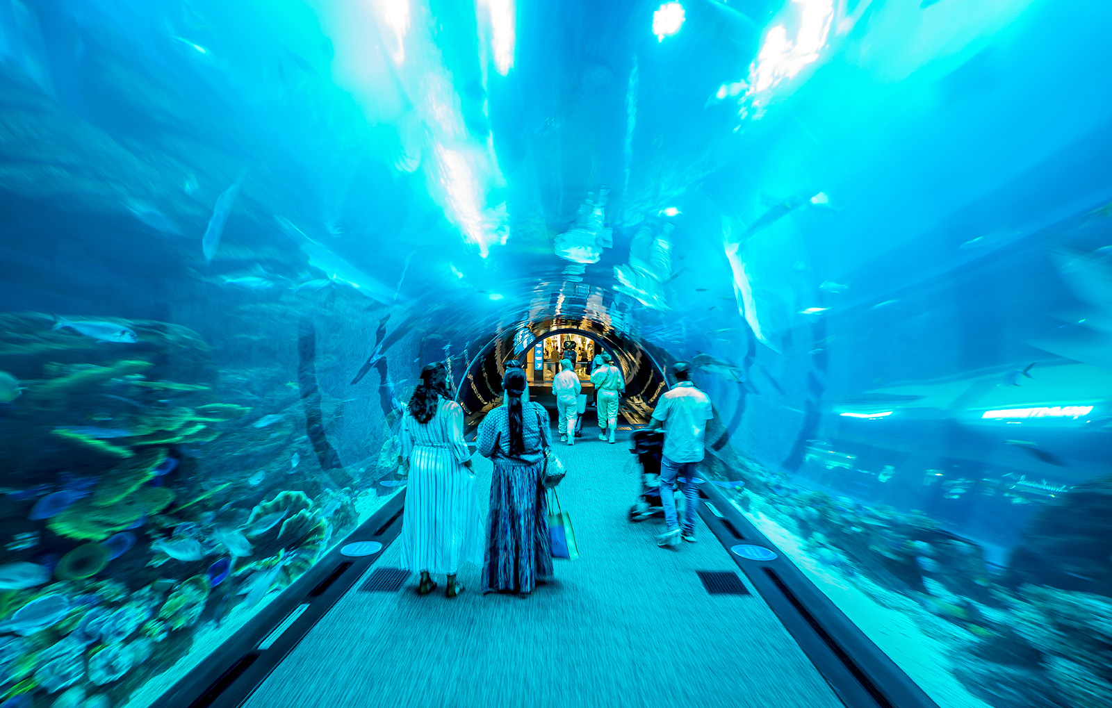 det-the-dubai-mall-dubai-aquarium-2