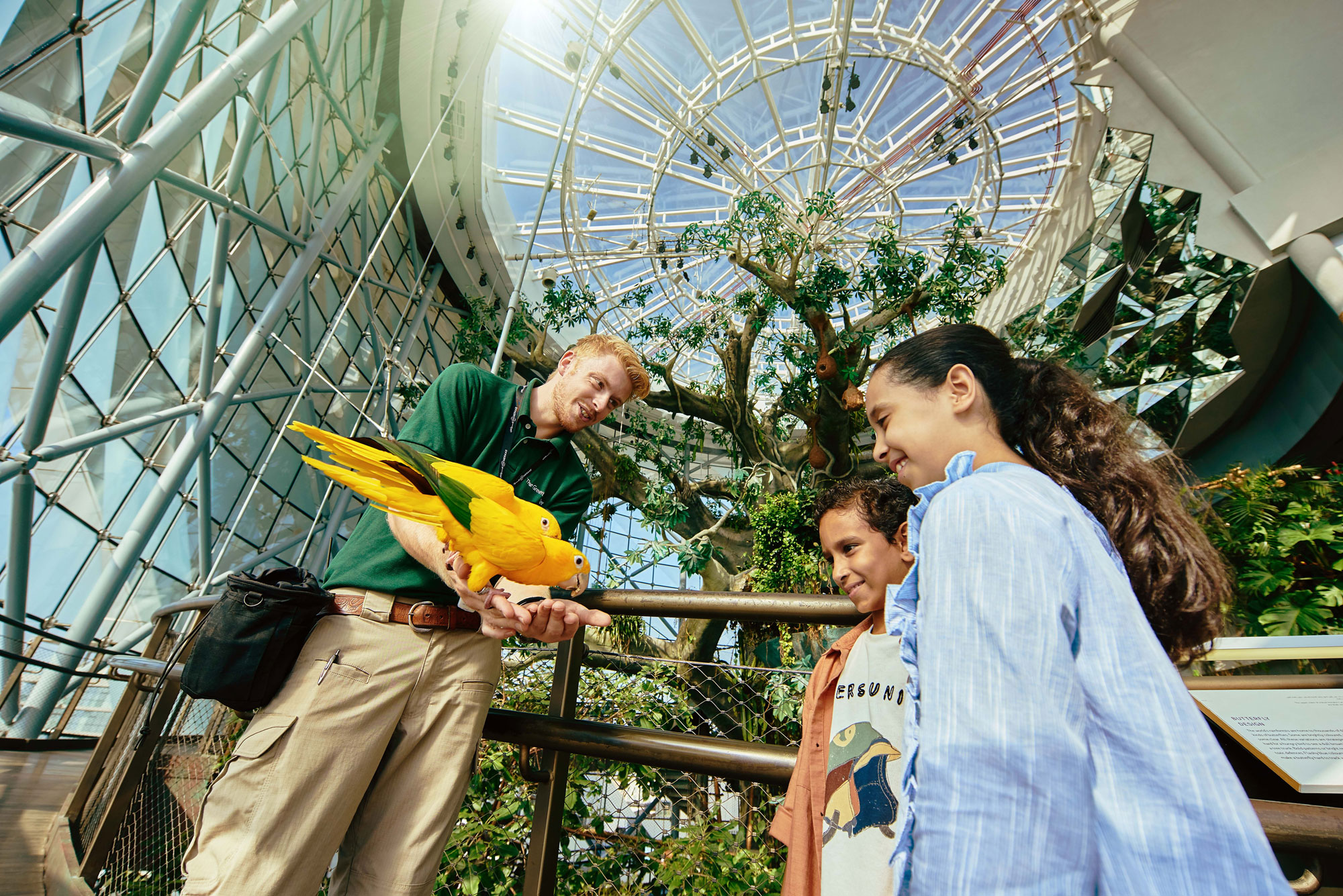 There are loads of great activities for kids this summer in Dubai, including Green Planet.