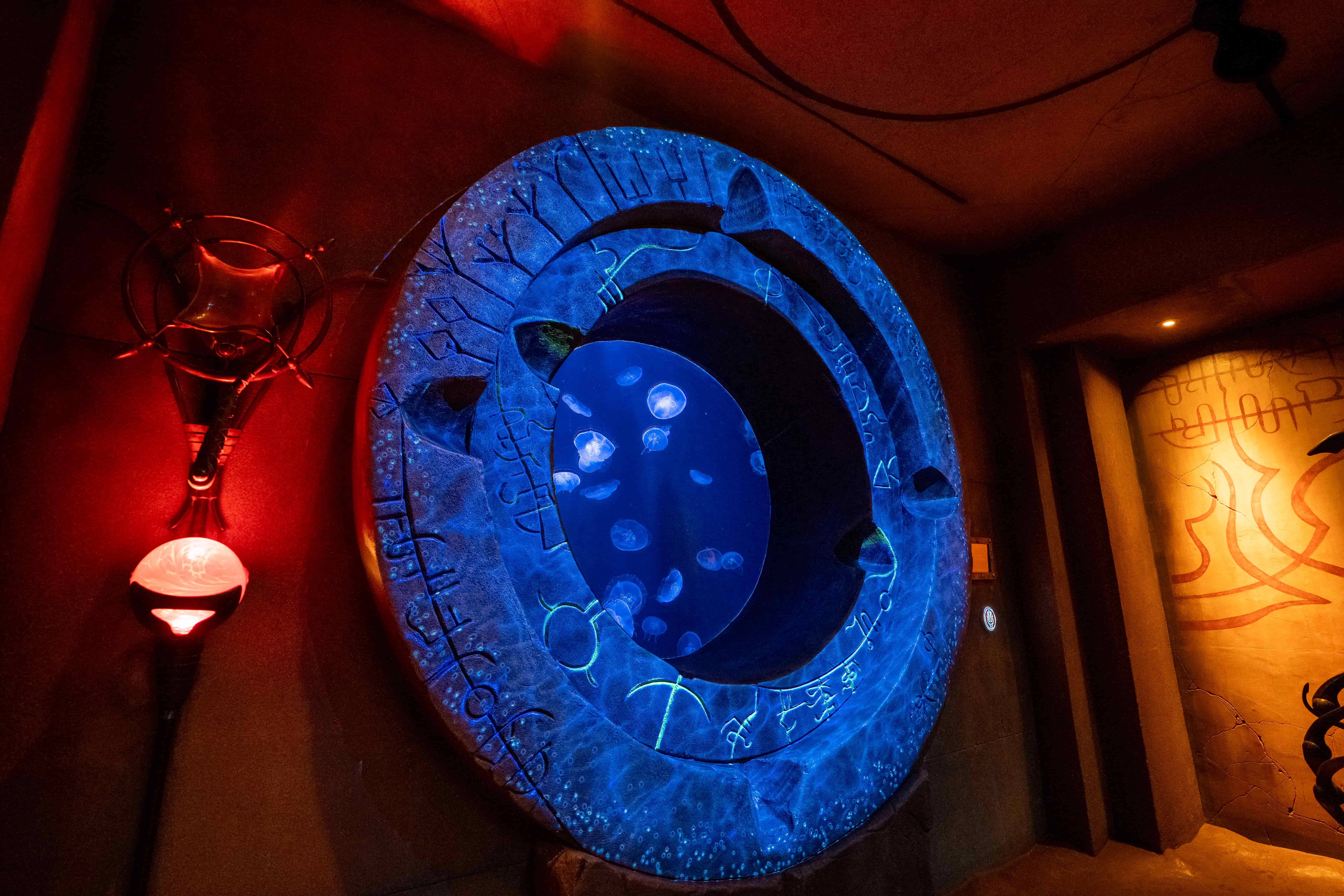 The Lost World Aquarium jellyfish tank