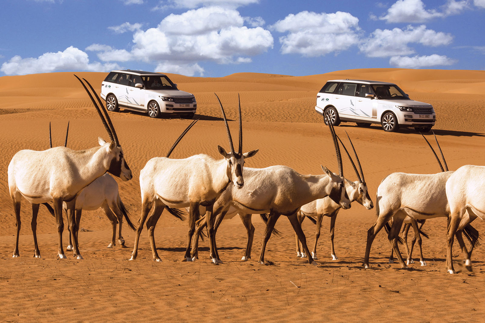 Dubai-presents-nature-4