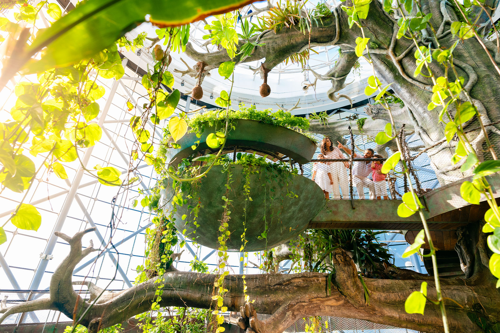 nature-media-green-planet