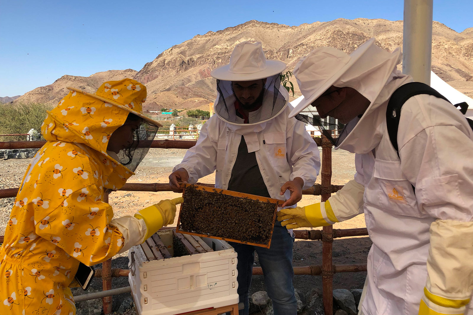 nature-media-hatta-honey