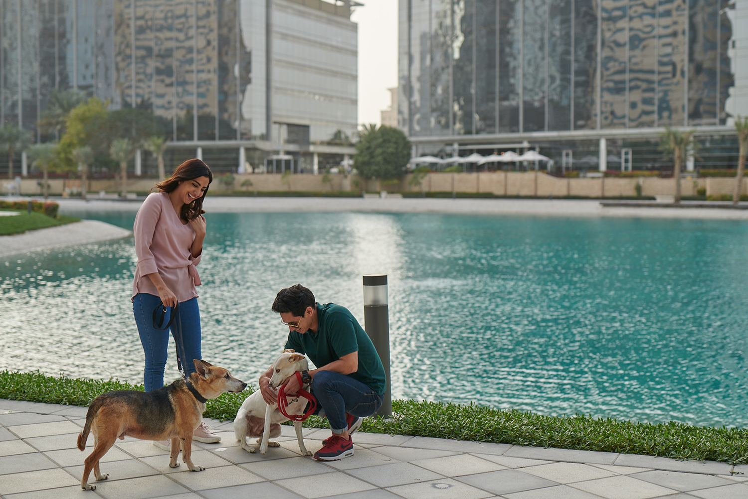 al-sufouh-media-4-dtcm